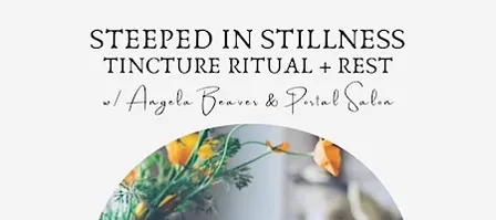 Steeped in Stillness Tea Ritual + Rest