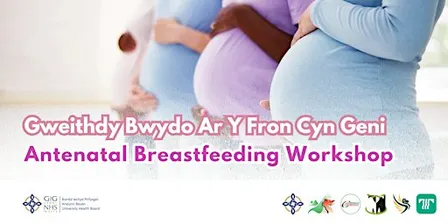 Monmouthshire Antenatal Breastfeeding Workshop