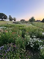 Pick Your Own Flowers