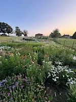 Pick Your Own Flowers