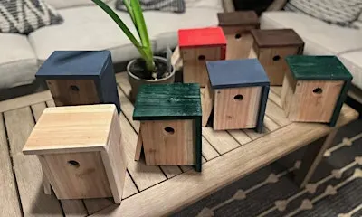 Kids' Woodworking Project: Build a Birdhouse