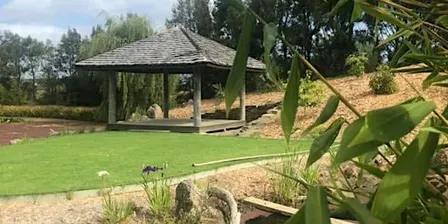 Reiki and Meditation Retreat