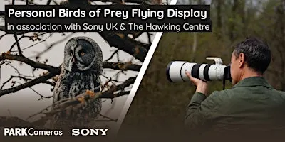 Personal Bird of Prey Flying Display at Park Cameras Wildlife Day