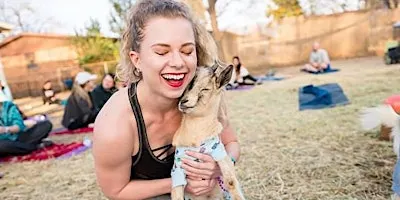 Goat Yoga in The Patch @ Bedford Public Library!