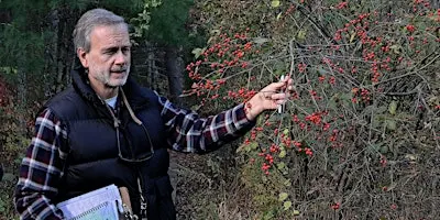 Plant ID and Natural History Walk