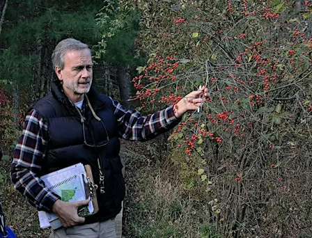Plant ID and Natural History Walk