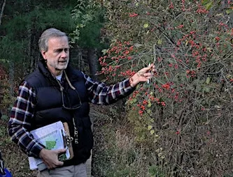 Plant ID and Natural History Walk