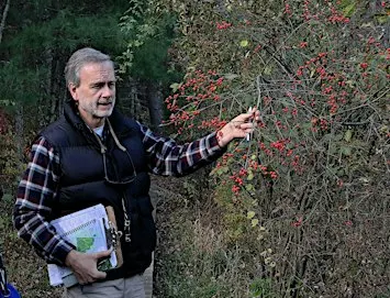 Plant ID and Natural History Walk