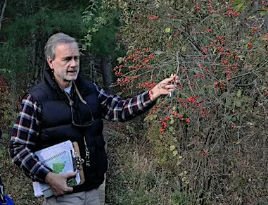 Plant ID and Natural History Walk