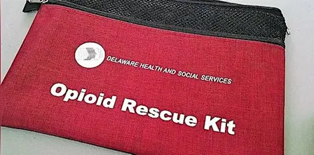 Naloxone (Narcan) Access Training - Dover Public Library