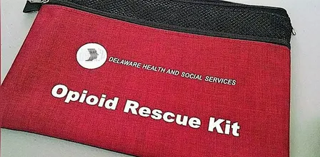 Naloxone (Narcan) Access Training - Dover Public Library