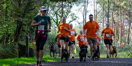 Lewis-Manning Hospice Care's Muddy Dog Dash  - Upton Country Park
