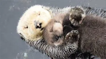Systemic Constellation Workshop - Healing Difficult Relationships - Mother