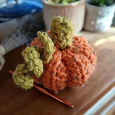 Beginner's Crochet Pumpkins Workshop