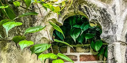 Introduction to Mindful Photography at Fulford Art Fair