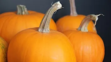 Spanish Fields 2nd Chili Cook-off and Trunk or Treat