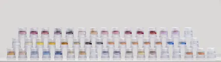 IPS e.max® Ceram Art: Efficiency and Artistry on Monolithic Restorations