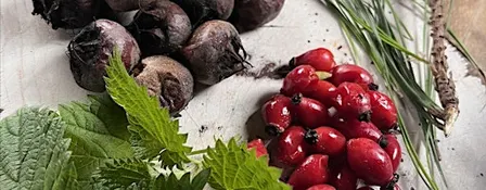 Autumn Foraging With Tapas Tasters