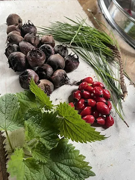 Autumn Foraging With Tapas Tasters