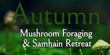 Autumnal Mushroom Foraging  Samhain Retreat