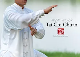 Yang Style Tai Chi - 24 Form Beginner Class