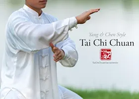 Yang Style Tai Chi - 24 Form Beginner Class