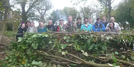 Introduction to Hedgelaying