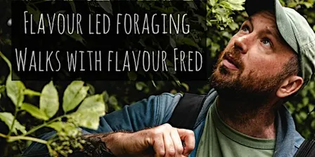 Flavour-Led Foraging, History & Folklore (FUNGI FOCUSED)