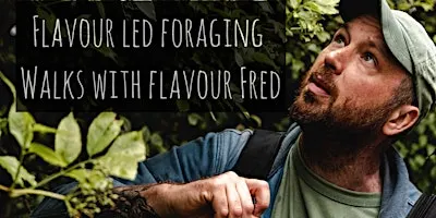 Flavour-Led Foraging, History & Folklore (FUNGI FOCUSED)