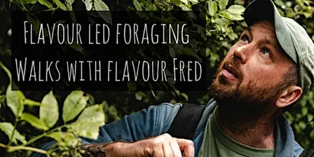 Flavour-Led Foraging Walk, Plants, Fungi, History & Folklore -FUNGI FOCUSED