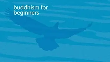 Tuesday Meditation Class - Buddhism for Beginners