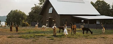 Music & Me: At The Farm x Holl & Stone Farms
