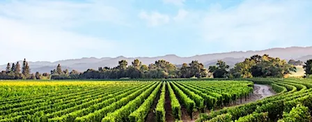 Chart House - Caymus Wine Dinner - Savannah
