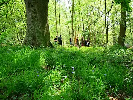 NWT Sweet Briar Marshes - Explore with the warden (Adult event)