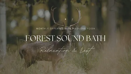 Forest Sound Bath in the Wyre Forest