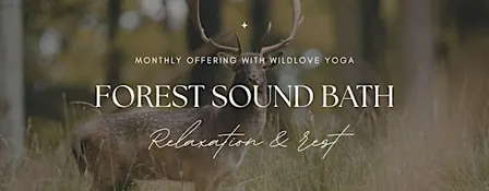 Forest Sound Bath in the Wyre Forest