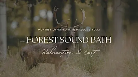 Forest Sound Bath in the Wyre Forest