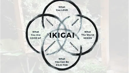 Ikigai Communal Dinner