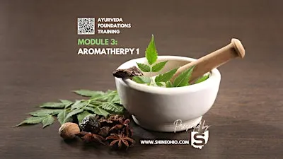 Module 3: Ayurveda Foundations Certification