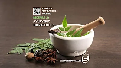 Module 2: Ayurveda Foundations Certification
