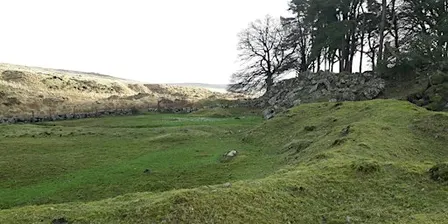 Surveying grasslands out of season - 1 day course in Devon