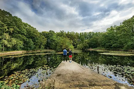 Rondom Tielt: van Ter Borcht tot de Scheepsput