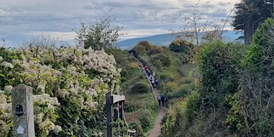 Somerset Coast Walk - Day 4: Watchet to Burton