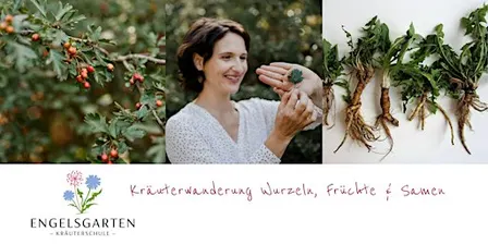 Kräuterwanderung in Wien "Kräuterwurzeln, Samen & Früchte"