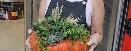 Succulent Pumpkin Class w/Tanya