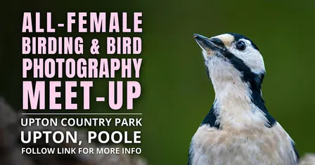 All-Female Birding & Bird Photography