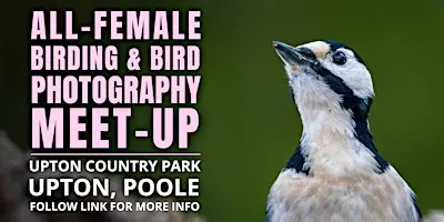 All-Female Birding & Bird Photography