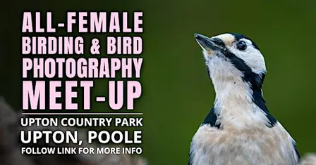 All-Female Birding & Bird Photography
