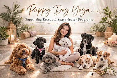 DOGA (Yoga w/ Puppies and Dogs) @ IM=X Pilates Studio