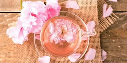 Atelier de création d'infusions florales du printemps